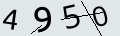 verifycode